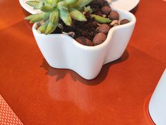 -万豪咖啡厅(JW万豪酒店店)