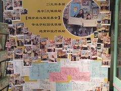 -猫咪博物馆(顶澳仔猫街店)