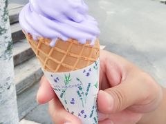 -富田农场