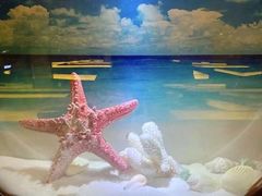 -海韵之星邮轮水会(明发商业广场店)