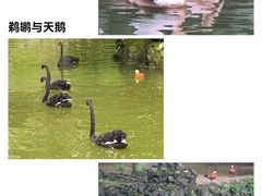 -黔灵山公园