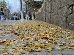 -八大关景区
