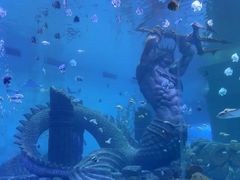 -哈尔滨波塞冬海底世界