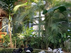 -南宫五洲植物乐园