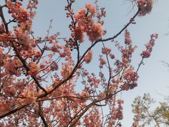 -杭州西湖风景名胜区-满觉陇四眼井
