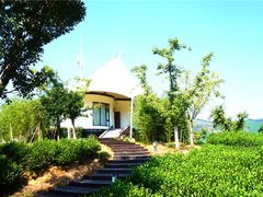 -帐篷客·溪龙茶谷度假酒店