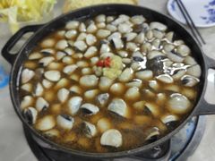 -顺德哥卜卜贝(旗舰店)