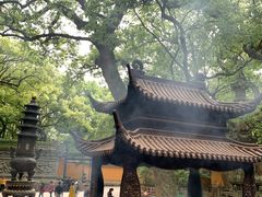 -普陀山风景名胜区-法雨禅寺