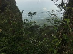-七仙岭温泉国家森林公园