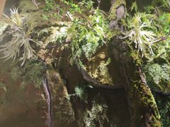 景观位-锦府盐帮·李宅(领展购物广场中关村店)