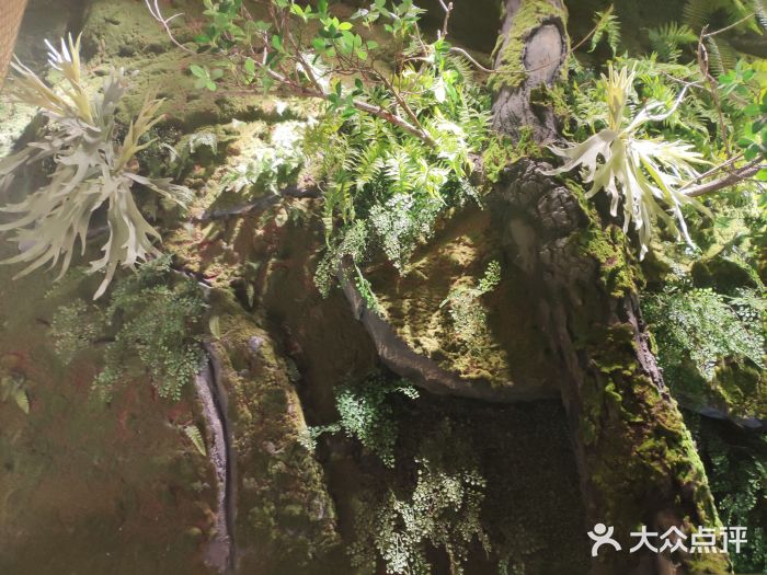 锦府盐帮·李宅(领展购物广场中关村店)景观位图片