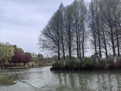 -苏州太湖国家湿地公园