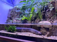 -上海海洋水族馆