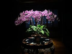 -三嚥阁 La Villa Restaurant