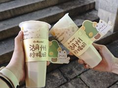 -猫的魔法密林(衣裳街店)