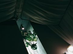 -泰乐道·SPA·按摩·足道(坡子街店)