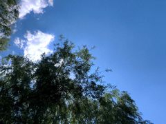 -长白岛森林公园