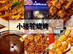 -福苗小骆驼烧烤(莲湖路店)