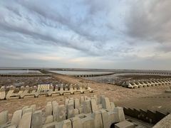 -南汇嘴观海公园