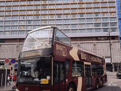 -Big Bus Tours 敞篷观光巴士