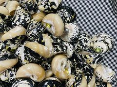 -青岛贝壳博物馆