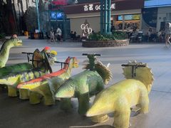 -杭州浪浪浪水公园