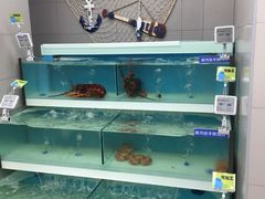 -盒马鲜生(大成店)