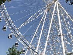 -祥源·阜阳生态乐园