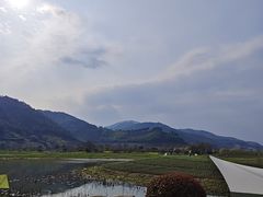-径山花海