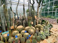 -国家植物园南园