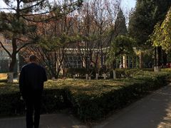 -双榆树公园