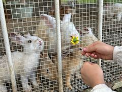 -福建鲤鱼洲酒店