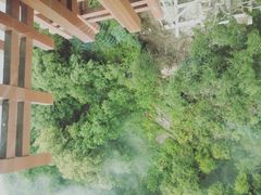 -少华山国家森林公园
