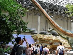 -国家自然博物馆