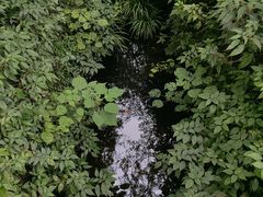 -橘子洲景区
