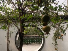 -广州神农草堂中医药博物馆
