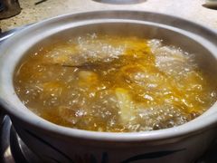 -先机泉水鸡汤(南山老君洞店)