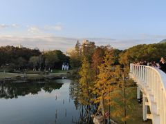 -昆山城市公园