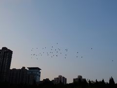 -上海市龙华烈士陵园