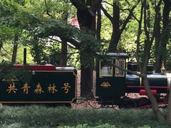 -共青国家森林公园-南大门停车场