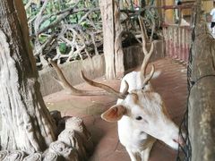 -长鹿旅游休博园