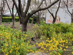 -莹珠阁·私房菜