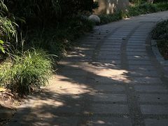 -中山公园