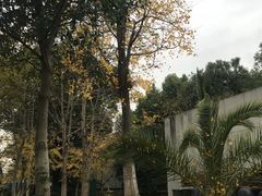 -玉山公园