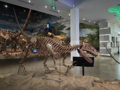 -自贡恐龙博物馆