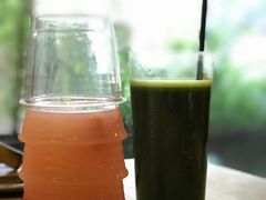 -柴务处·柴犬主题狗咖