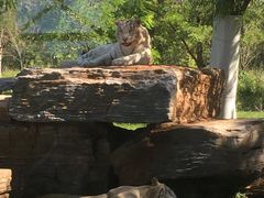 -秦皇岛野生动物园