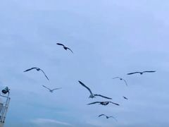 -仁川港国际客运码头