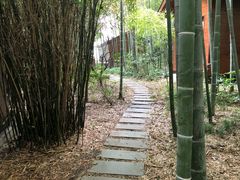 -苏州河梦清园环保主题公园