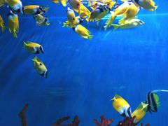 -海合安武汉极地海洋公园
